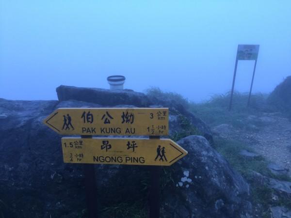 旋转的圆球