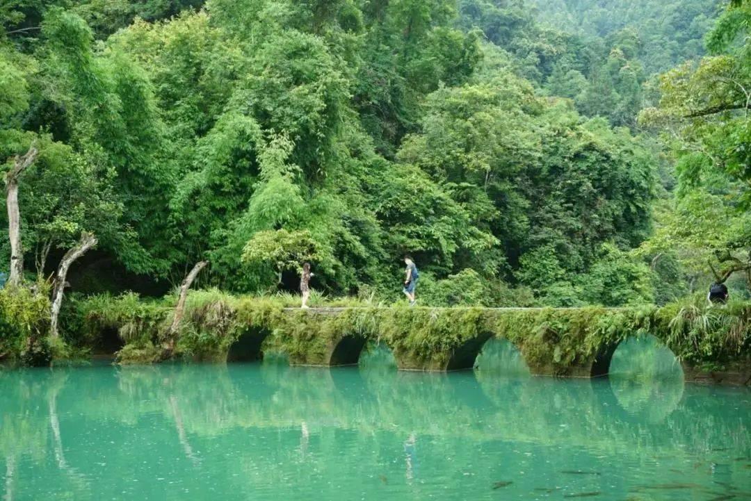 黎明杀机